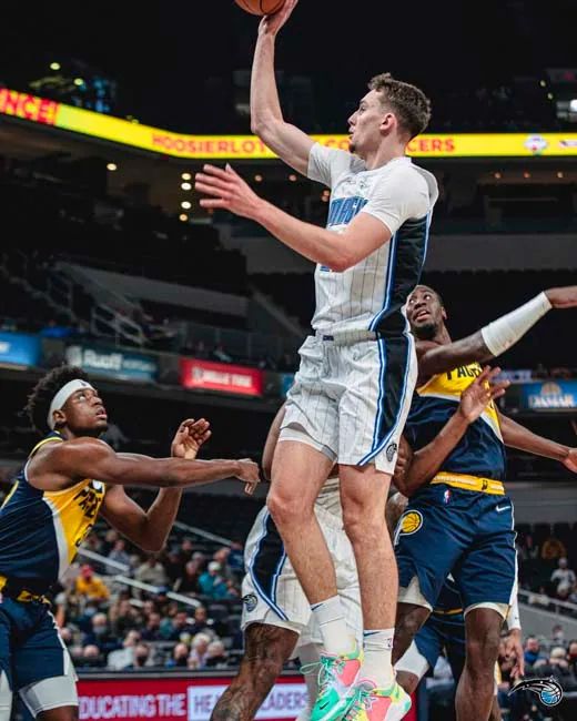 利亚提供了 利亚提供了