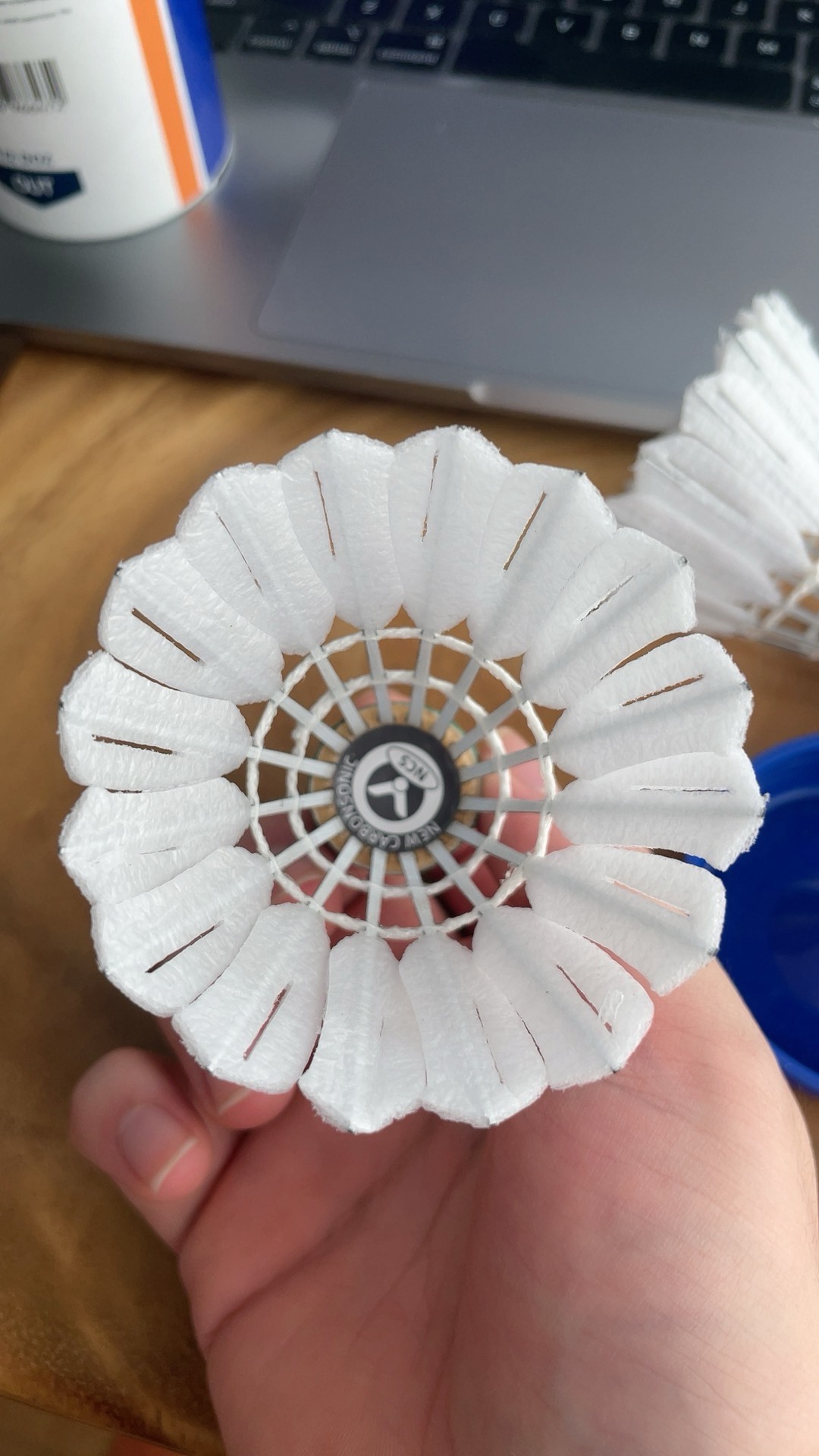 托特纳姆 托特纳姆